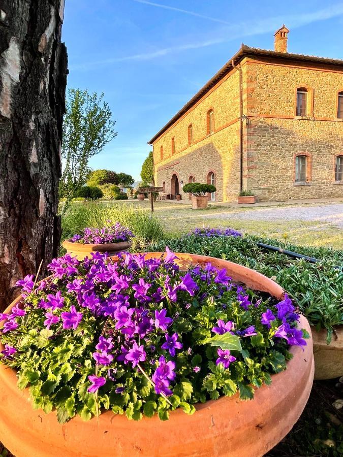 Agriturismo La Colmata Villa Cesa  Exterior photo